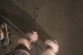 💕 🤫 - Playful,Sassy & Freaky💕 — Let’s Turn Your Fantasy Into Reality🥂 - Image 5